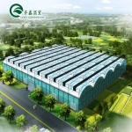 high quality plastic film  greenhouse for plant tomato