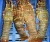 Import High Quality Rock lobster tails , live lobsters from Philippines