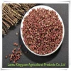 High Quality Seasonings &amp Condiments Chinese prickly ash For Sale