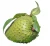 Import High Quality Soursop fruit from Vietnam