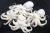 Import High quality whole round frozen baby octopus for sale from China