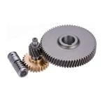 Hot Sale Customized Worm and Pinion Gears Stainless Steel Worm Gear