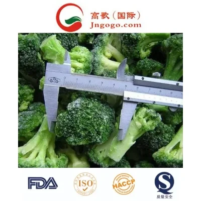Hot Sale IQF Frozen Broccoli and Frozen Vegetable