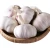 Import Hot selling 2020 fresh  normal white garlic high quality from China