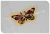 Import Hot selling 3.5*7.5 cm Iron on embroidery butterfly patch for garment from China