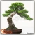 Import hot selling bonsai tree plastic harga bonsai plastik bonsai figurines from China