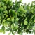 Import Hot Selling Boxwood Artificial Flowers Wreath Garland Landscaping for Wedding Decoration Home Garden from China