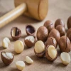 In Shell Macadamia Nuts grown in Australia 25 kilogram bags