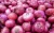 Import Indian Fresh Red onion from India