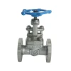 Industrial globe valve WCB CF8 hard seal rising valve stem Marine sewage wastewater Air high pressure hot oil DN20-DN300