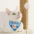 Import Integrated grinding claw Pet toy shelf space capsule cats villa Scratching Board Posts Cat Tree Large cat climbing frame from China