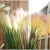 Import K-3018 High Quality artificial Ornamental Plant Plastic Artificial Onion Grass Reed Grass for indoor decoration from China