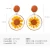 Import Korea Ins Resin Earrings Dried Flower Plant Stud Earrings Jewelry Wholesale from China