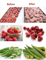 Kuhller Freeze Drying Equipment Oven Oem Mini Freeze Dryer Tray For Dried Vegetables Mango Flowers Fish Nuts Fruit Figs 3-5Kg