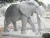 Import Large outdoor stone Animal elephant Statue from China