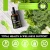 Import Liquid Chlorophyll Drops All-Natural Concentrate Energy Booster Natural Deodorant Immune System Supports 59ml/Bottle from China