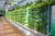 Import Low Cost Commercial Greenhouse With Vertical Hydroponic Grow Systems for Sale from China