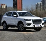 Luxury havel petro/gas SUV car 172KW 234HP 2.0T