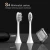 Import Luxury IP7Waterproof  Electric Toothbrush High Comfort Electric Tooth Brush from China