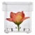 Import Luxury plexi glass plastic gift box clear acrylic preserved single rose boxes with lid from China