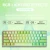 Import MATHEW TECH HW61 Wireless 60% Mechanical Gaming Keyboard Green Black Red Brown switch 3Mode RGB Backlit Hot Swappable from China