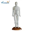 Medical Science Supplies Whole  Acupuncture Human Body Model