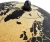 Import Medium Cork Globe - 7 Inches Desktop World Globe - Educational World Map - Rotating Globe Table Decor for Home Office Classroom from China