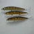 Import middle to high end Minow type Tera bait fishing lure of salt water from China