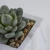 Mini Home Decoration Plastic Succulent Bonsai Artificial Potted Plant in Marble Grain Cement Pot