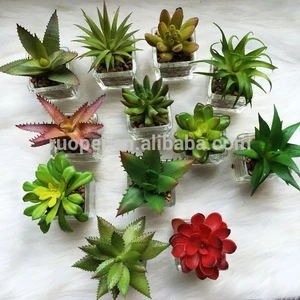 Mini Lifelike Real Touch Decoration Artificial Succulent Plants Supplier