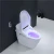Import Modern style ceramic one piece siphon flusher toilet seat remote control automatic smart toilets from China