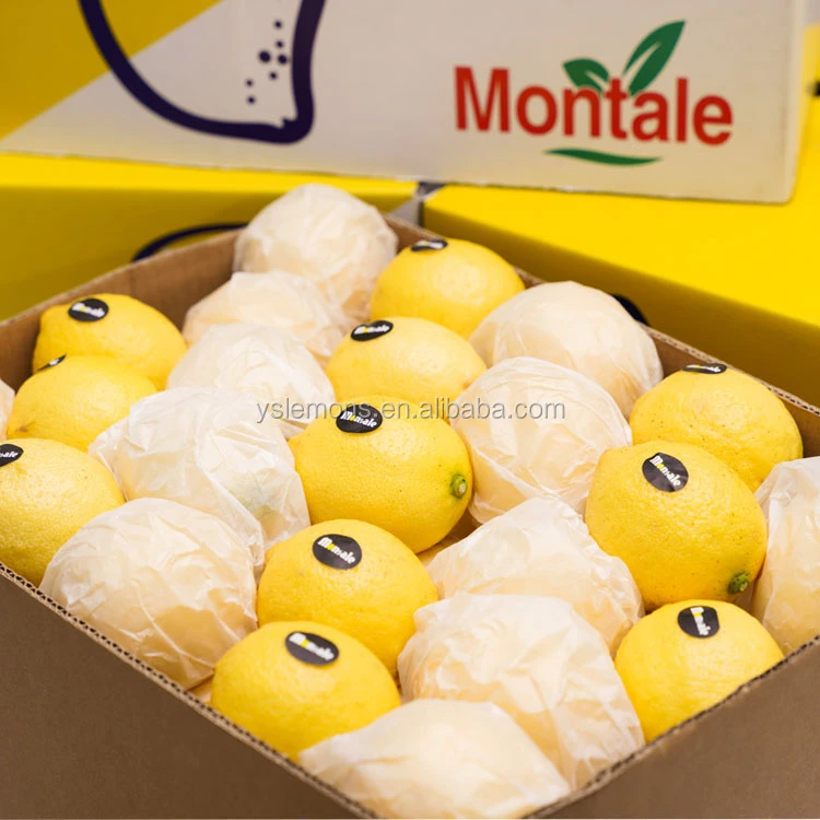 Montale Worldwide Sale Organic Oranges From Farm Fresh Lemon