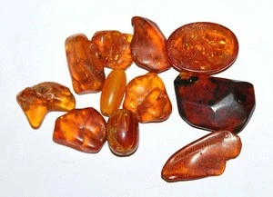 Natural Baltic Amber Mix 11 Pieces Cabochon Loose Gemstone 246.2 Carats Stones for making jewelry
