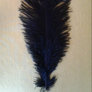 Natural Ostrich Feathers
