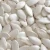 Import New Crop with Best Price Snow White Pumpkin Seeds from Netherlands