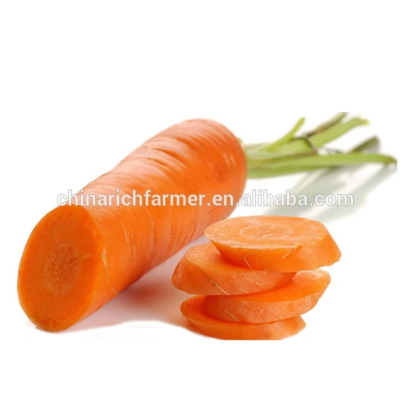 New cropyear fresh red carrot is on the market