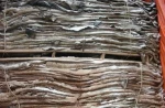 NEW Grade A+ Animal Dry and Wet Salted Donkey/Goat Skin genuine leather