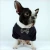 Import Newest Dog Bottoming Shirt Pet Sweater Clothes With Bow Tie from China