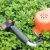Newest Electric Hedge Trimmer with Lithium Battery Backpack for Garden Shrubs and Tea Plantations