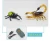 Import novel creative toys battery scorpion and beetle set plastic rc animal for kids from China