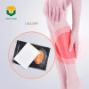OEM whole sale price health care products medical pepper plaster heat plaster for back pain