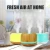 Import Oil Diffuser Essential Ultrasonic Air Humidifier Scent Diffusers Wood Grain Aroma Diffuser from China