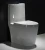 Import One piece dual flush WC toilet sanitary modern products wholesale toilets from China