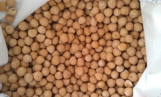 Organic chickpeas for wholesale