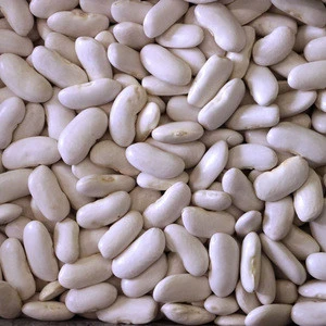 Organic White Kidney Beans / Canned White Kidney Beans
