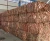 Import Original Germany  High Quality Copper Millberry/ Wire Scrap 99.95% to 99.99% purity /copper scrap from China