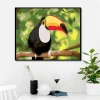Parrot DIY Painting By Numbers Wall Art Picture Acrylic Canvas Painting