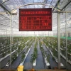 Plastic Tempered Glass Greenhouses Made In China