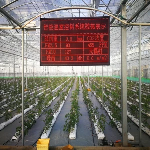 Plastic Tempered Glass Greenhouses Made In China