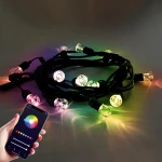 PMMA Integrated Bulbs Wedding Lights RGBW Colorful Wifi Smart Christmas Dimmable Outdoor LED Light String